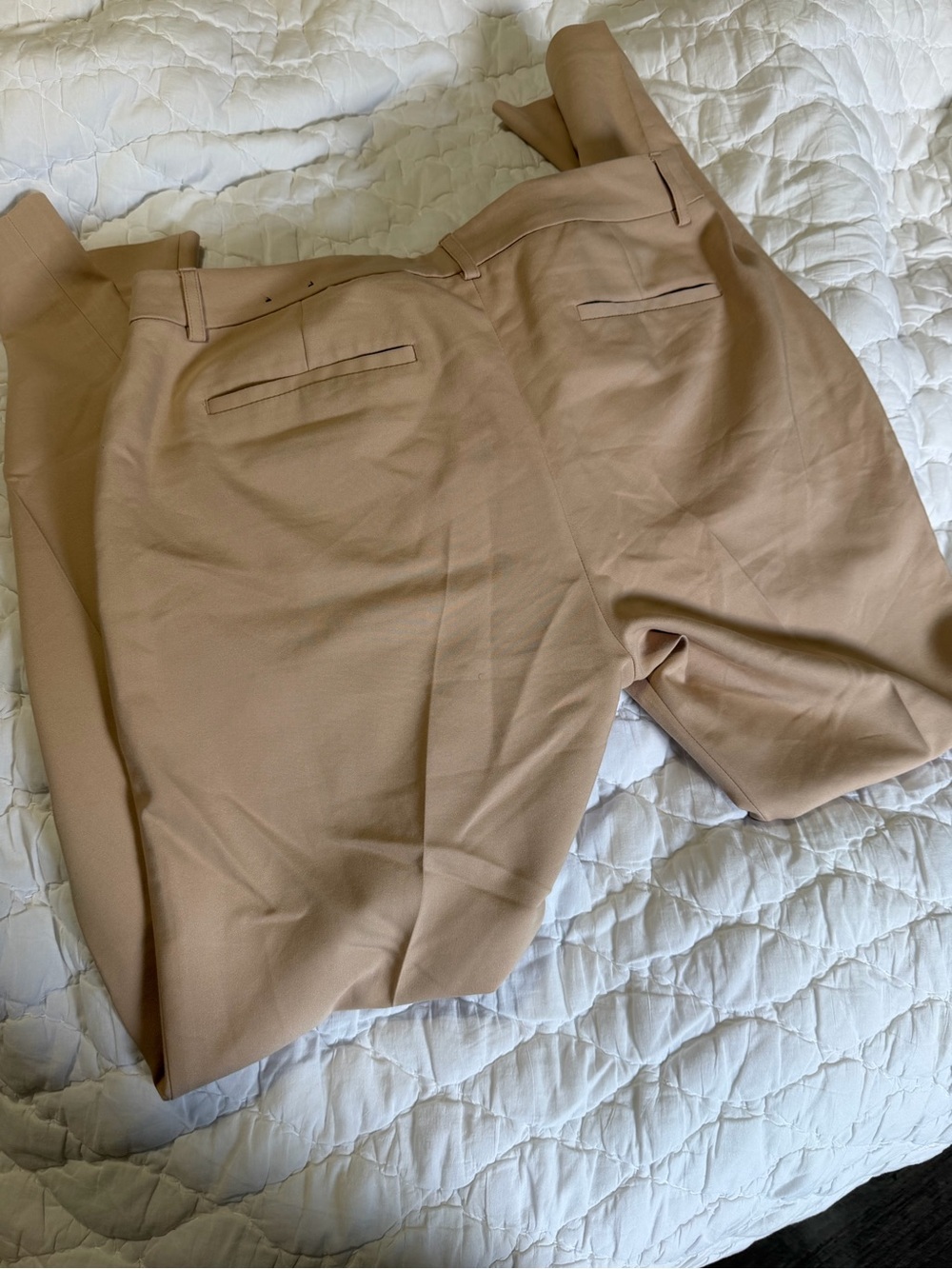 Express Columnist Pants- 2 pair - Picture 5 of 9